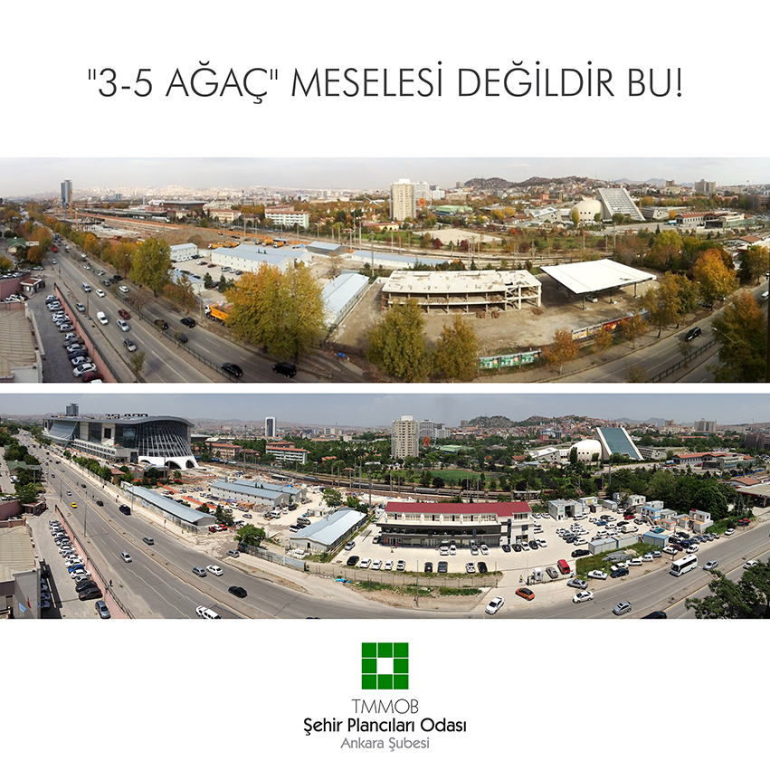 "3-5 AĞAÇ" MESELESİ DEĞİLDİR BU!