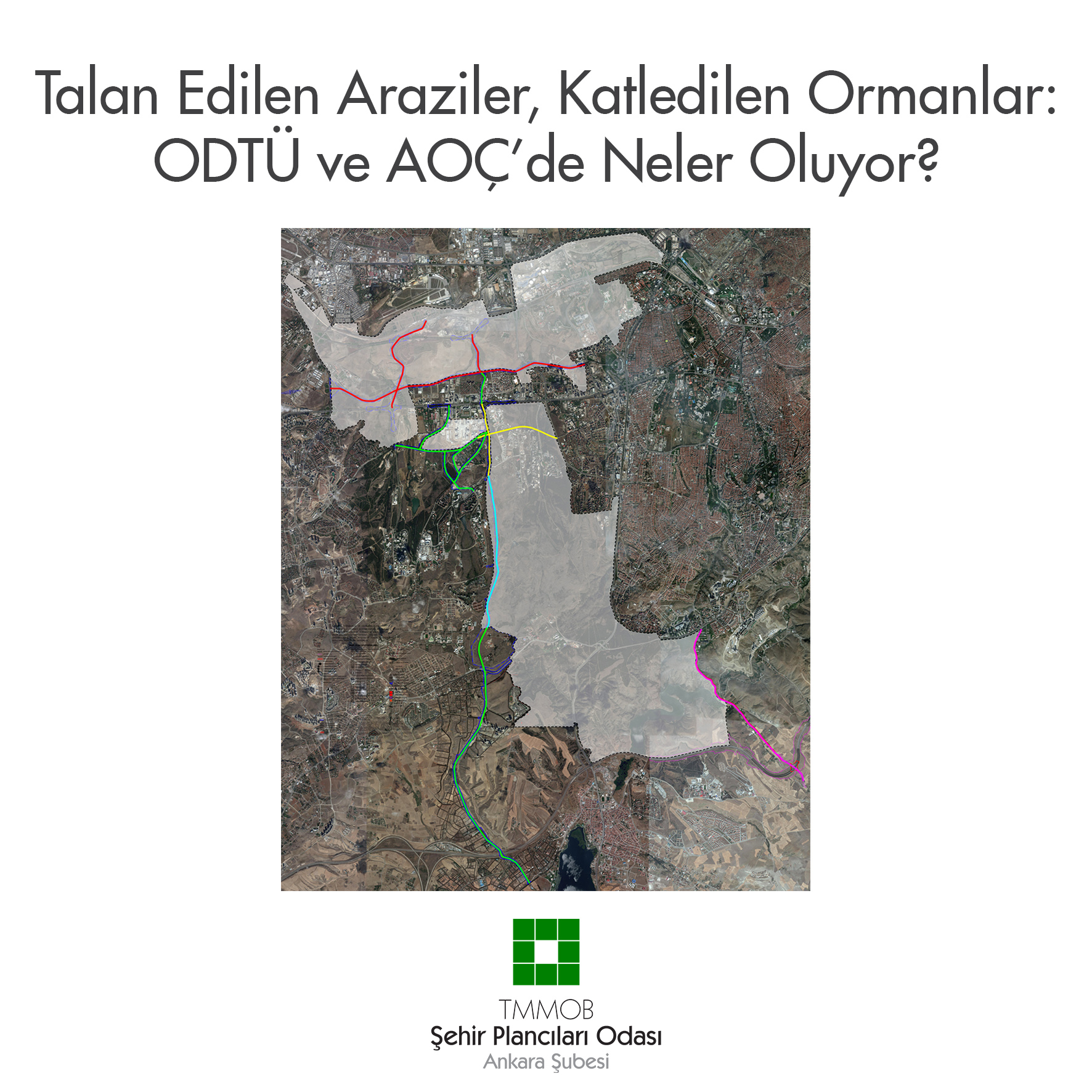 TALAN EDİLEN ARAZİLER, KATLEDİLEN ORMANLAR: ODTÜ VE AOÇ'DE NELER OLUYOR?