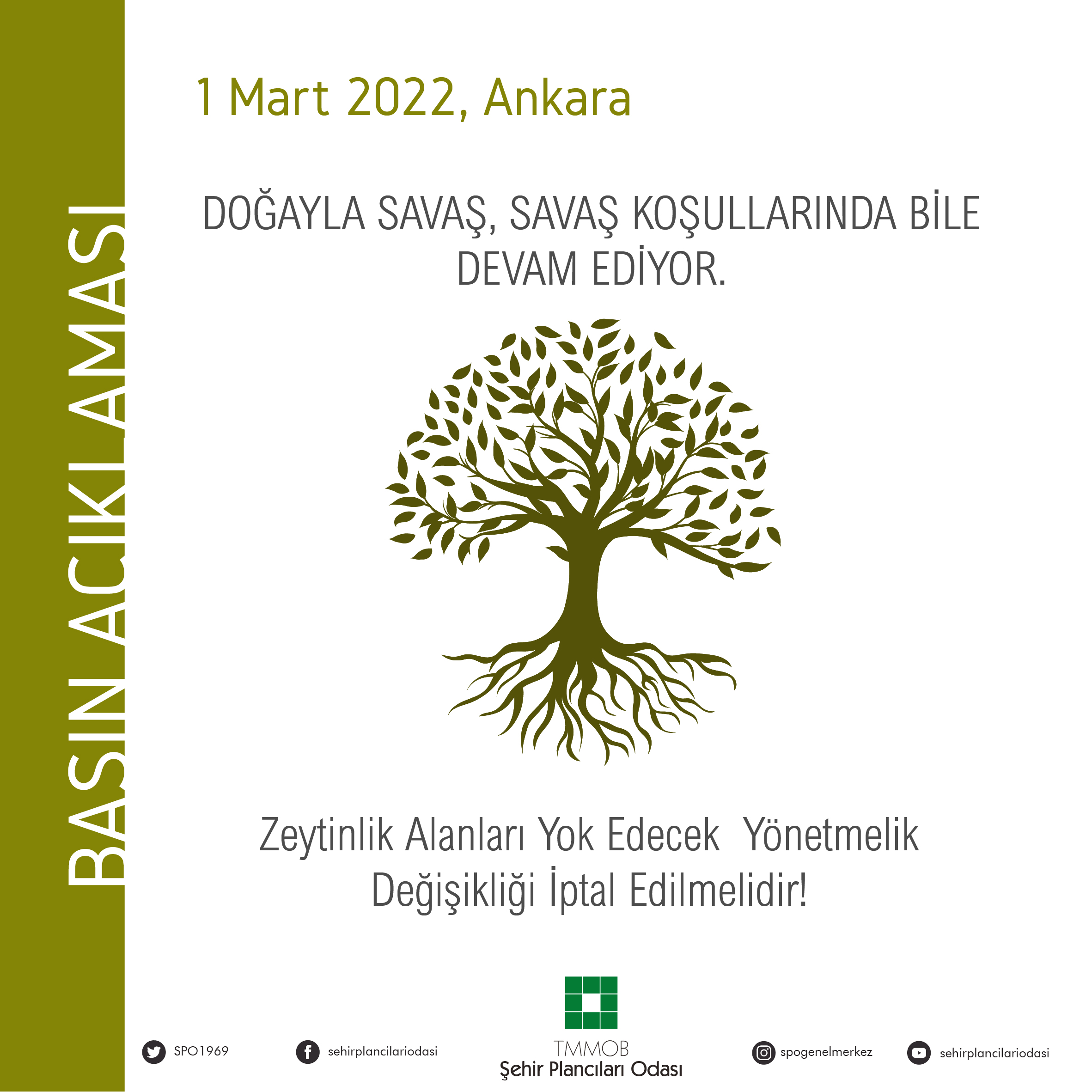 ZEYTİNLİK ALANLARI YOK EDECEK  YÖNETMELİK DEĞİŞİKLİĞİ İPTAL EDİLMELİDİR!