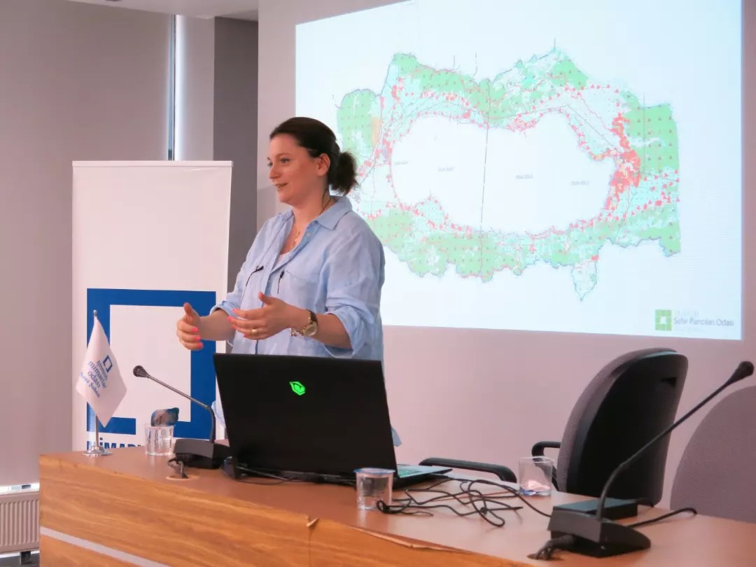 MİMARLAR ODASI YAZ STAJ PROGRAMI KAPSAMINDA "ŞEHİR PLANLAMA" KONULU SUNUM GERÇEKLEŞMİŞTİR.
