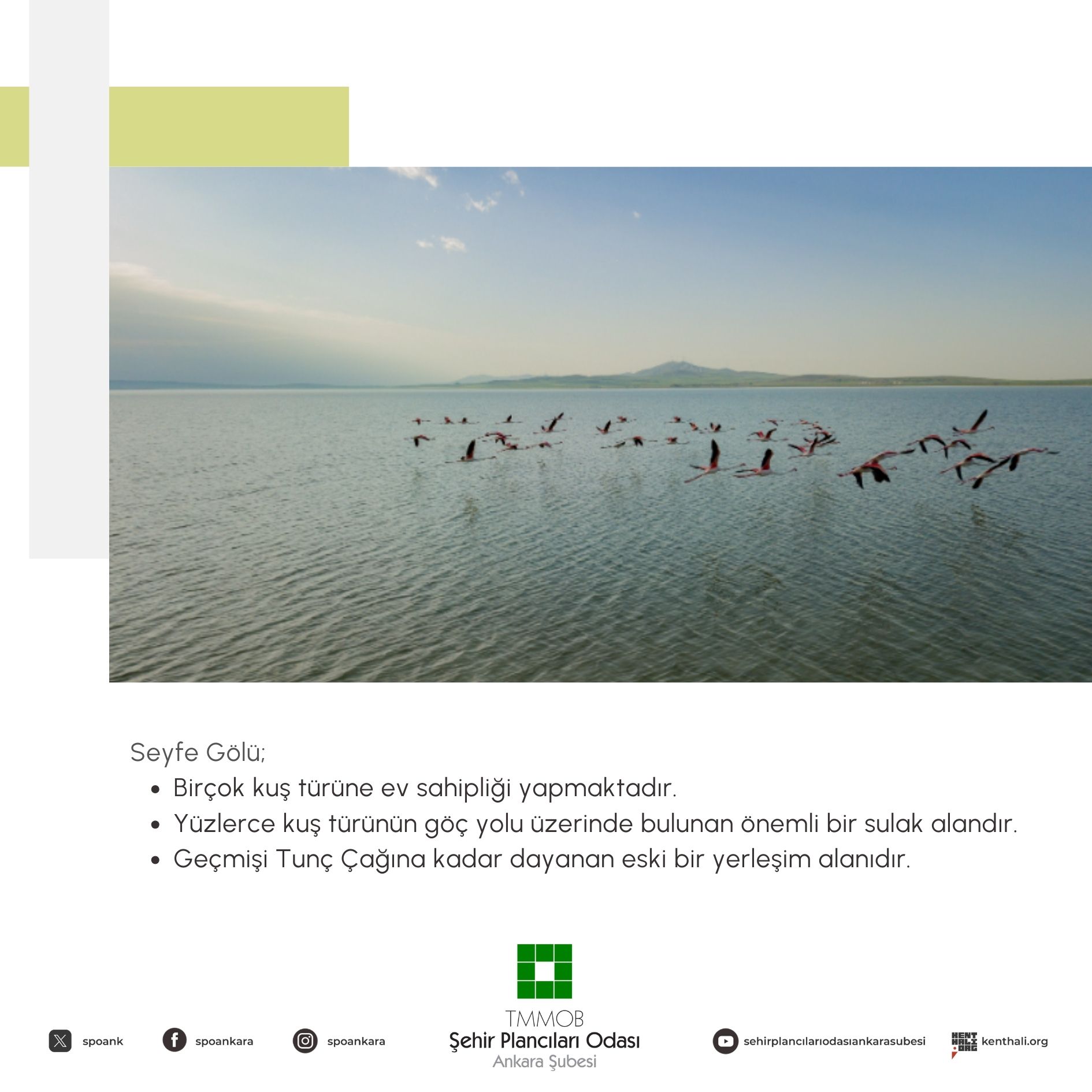 SERMAYENİN KISKACINDA BİR TABİAT HARİKASI: SEYFE GÖLÜ'NDEN ELİNİZİ ÇEKİN!